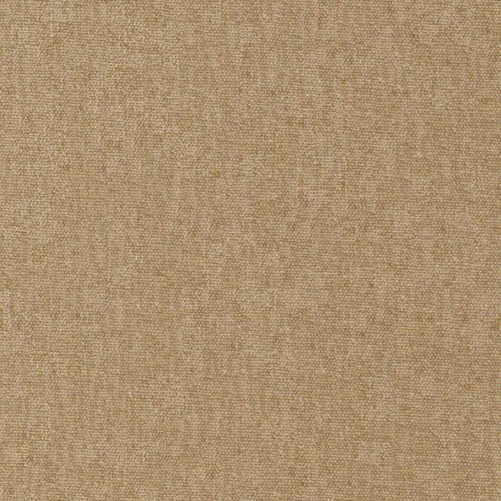 Conte # 951 Buff by Maxwell Designer Fabric Curled Up Viii 100% POLYESTER INDIA 54" - Swanky Fabrics -