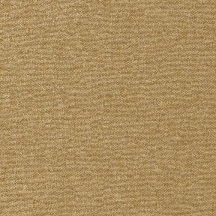 Conte # 952 Antelope by Maxwell Designer Fabric Curled Up Viii 100% POLYESTER INDIA 54" - Swanky Fabrics -