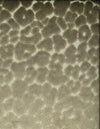 Chevy Mushroom by Norbar Designer Fabric