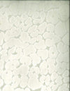Chevy Pearl by Norbar Designer Fabric