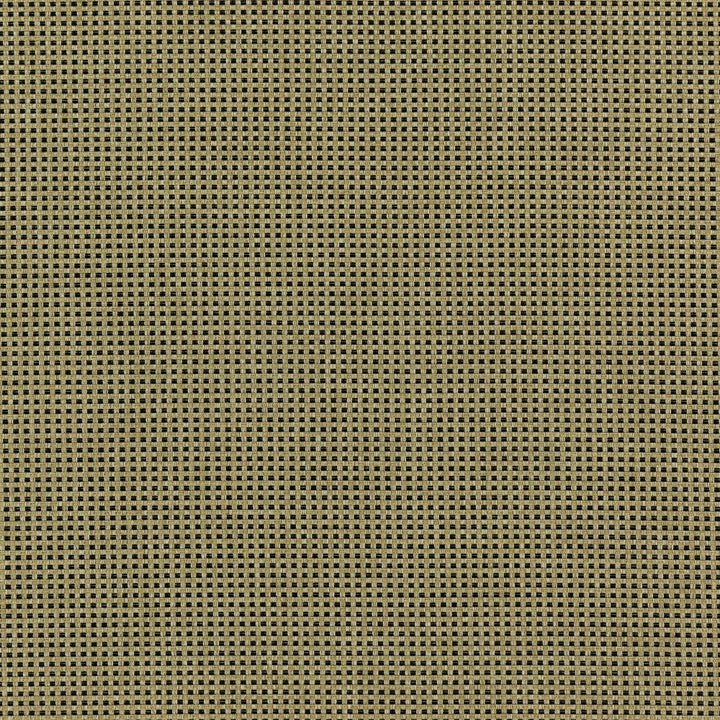 CHIEF 17J7351 by JF Designer Fabric Winning Weaves VI - Woven Book 90% Polyester, 10% Viscose India  Horizontal:  and Vertical:  57  - Swanky Fabrics -