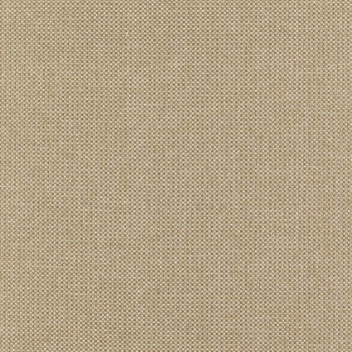 Chief 72J7351 by JF Designer Fabric Winning Weaves VI - Woven Book 90% Polyester, 10% Viscose India 120000 Horizontal: and Vertical: 57 - Swanky Fabrics -