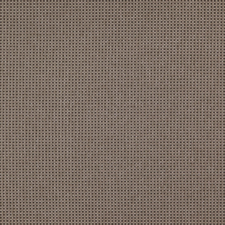 CHIEF 95J7351 by JF Designer Fabric Winning Weaves VI - Woven Book 90% Polyester, 10% Viscose India  Horizontal:  and Vertical:  57  - Swanky Fabrics -