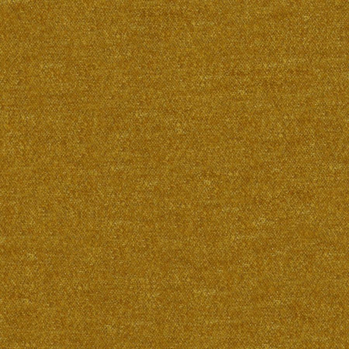 Calabria # 420 Gold by Maxwell Designer Fabric Performance Velvets-Vol.Iv 51% ACRYLIC/44% POLYESTER/5% VISCOSE TURKEY 55.9" - Swanky Fabrics -