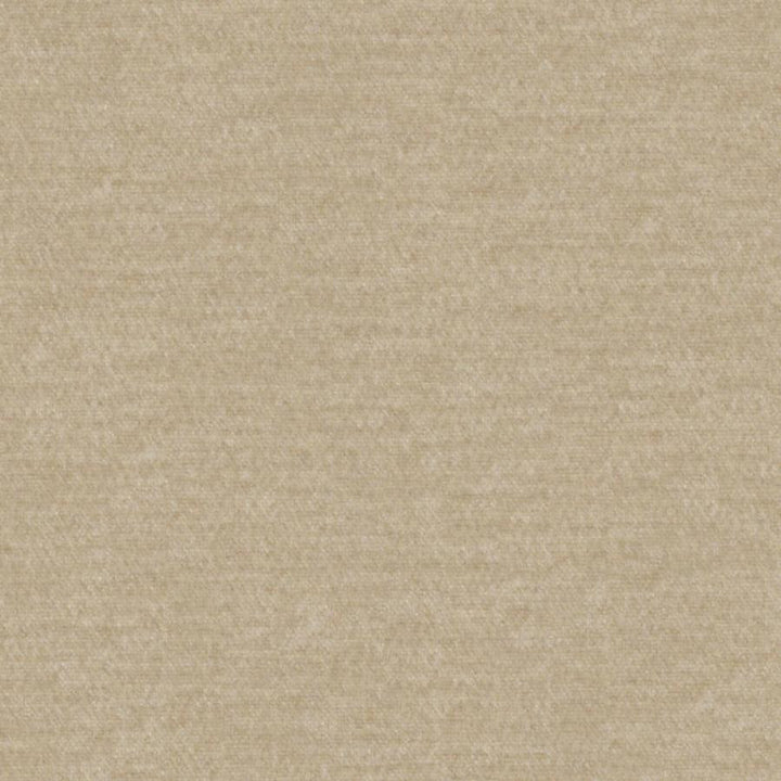 Calabria # 437 Dune by Maxwell Designer Fabric Performance Velvets-Vol.Iv 51% ACRYLIC/44% POLYESTER/5% VISCOSE TURKEY 55.9" - Swanky Fabrics -