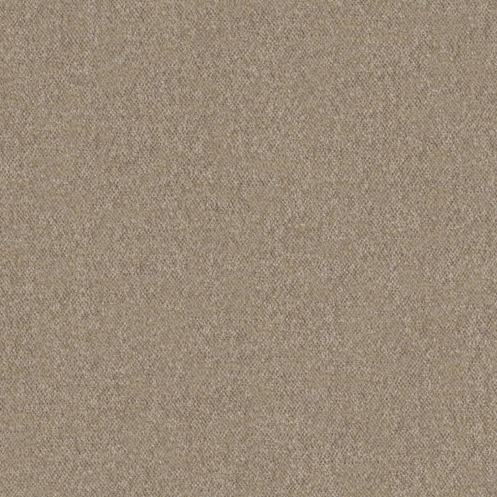 Calabria # 440 Funghi by Maxwell Designer Fabric Performance Velvets-Vol.Iv 51% ACRYLIC/44% POLYESTER/5% VISCOSE TURKEY 55.9" - Swanky Fabrics -