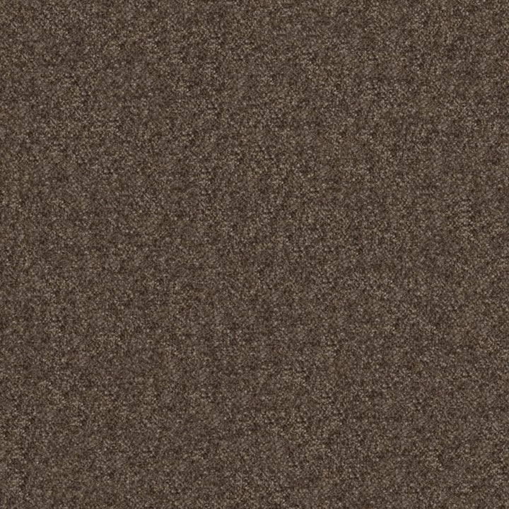 Calabria # 442 Beaver by Maxwell Designer Fabric Performance Velvets-Vol.Iv 51% ACRYLIC/44% POLYESTER/5% VISCOSE TURKEY 55.9" - Swanky Fabrics -