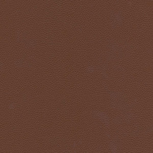 Catalyst-Nj # 516 Thoroughbred by Maxwell Designer Fabric