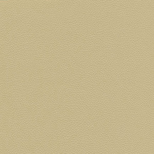 Catalyst-Nj # 518 Gesso by Maxwell Designer Fabric
