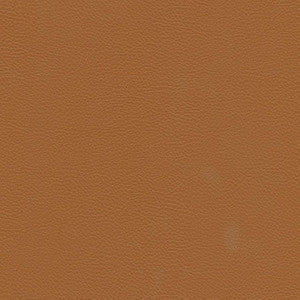 Catalyst-Nj # 521 Ochre by Maxwell Designer Fabric