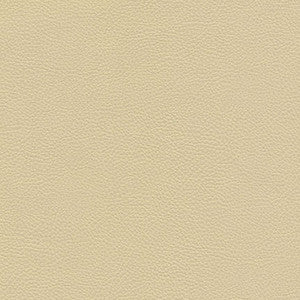 Catalyst-Nj # 522 Marzipan by Maxwell Designer Fabric