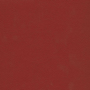 Catalyst-Nj # 523 Ribbon by Maxwell Designer Fabric