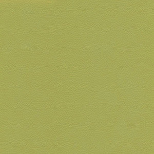 Catalyst-Nj # 525 Citrus by Maxwell Designer Fabric