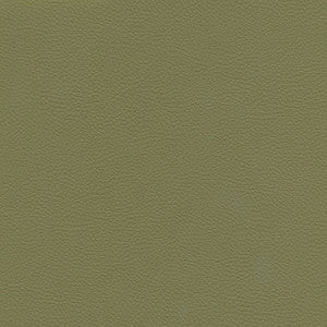 Catalyst-Nj # 530 Sage by Maxwell Designer Fabric