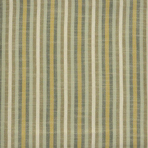 Colonnade # 908 Campground by Maxwell Designer Fabric