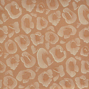 Coquina # 919 Peach by Maxwell Designer Fabric