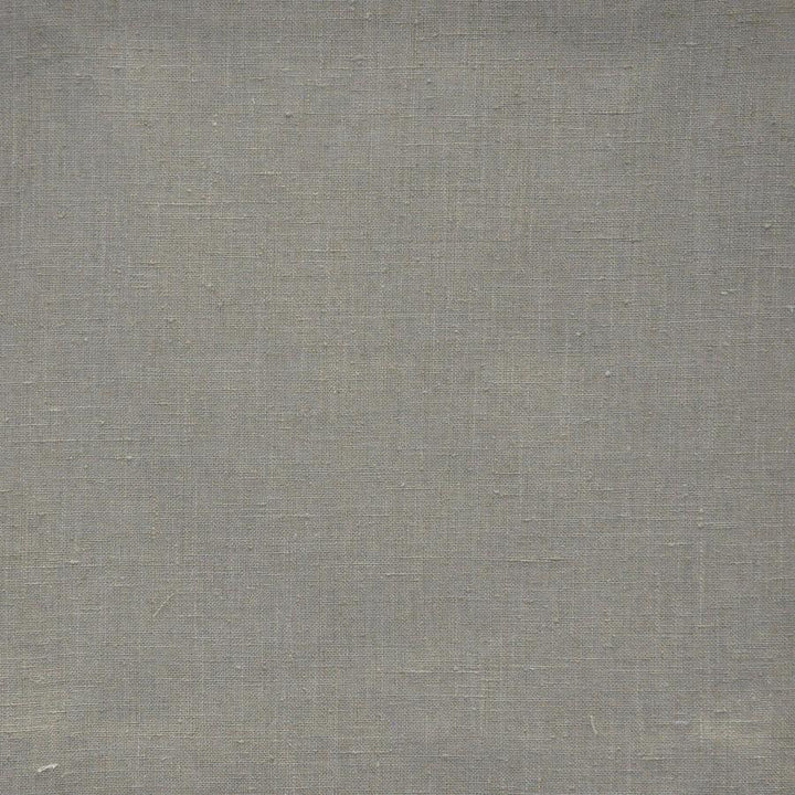 Citizen # 639 Mouse by Maxwell Designer Fabric Color Theory-Vol.Vii Sandalwood 100% POLYESTER INDIA 54" - Swanky Fabrics -
