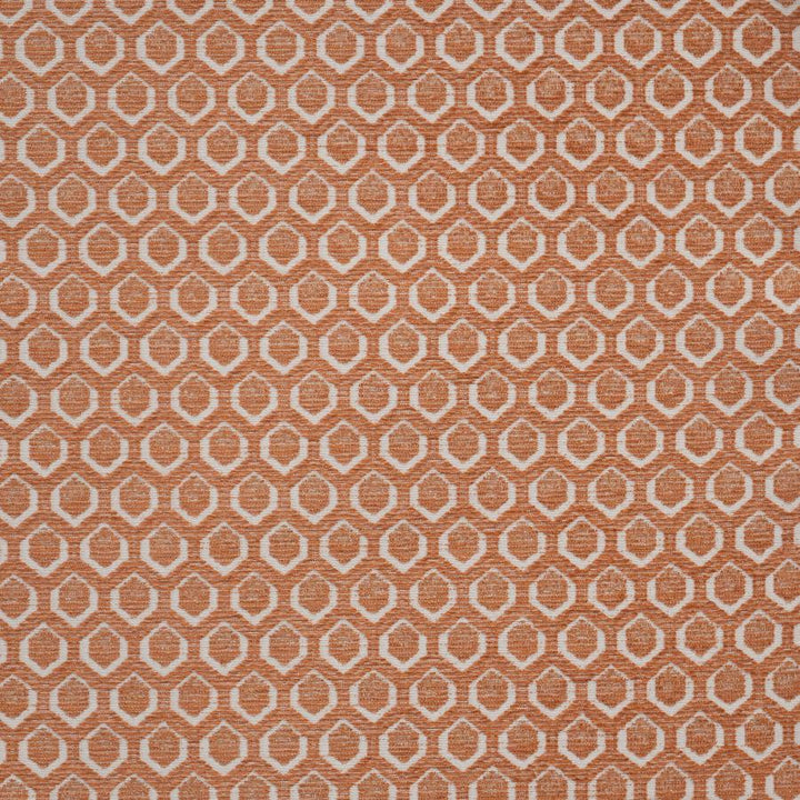 Cadboro # 804 Carnation by Maxwell Designer Fabric Performance Wovens-Vol. Vii Rhubarb 100% UV POLYESTER USA V-2.1" H-1.3" 57" - Swanky Fabrics -