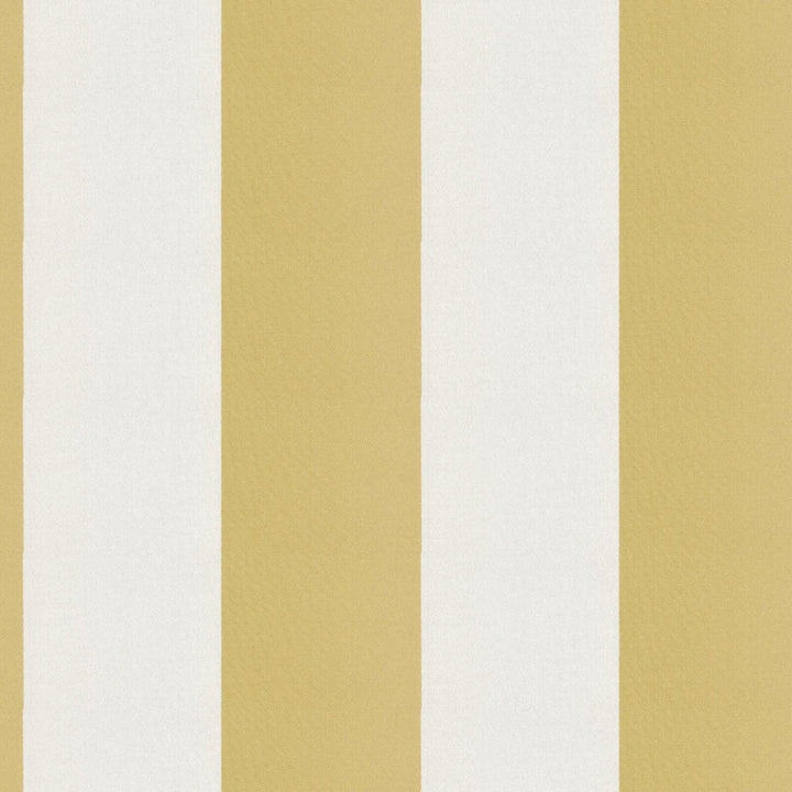 CIRQUE 15J9351 by JF Designer Fabric CIRQUE 59% , 41% Polyester India  Horizontal: 4 and Vertical:  56  - Swanky Fabrics -