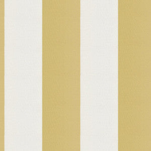 Cirque 15J9351 By JF Designer Fabric
