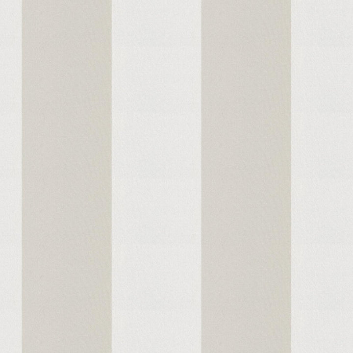 CIRQUE 31J9351 by JF Designer Fabric CIRQUE 59% , 41% Polyester India  Horizontal: 4 and Vertical:  56  - Swanky Fabrics -