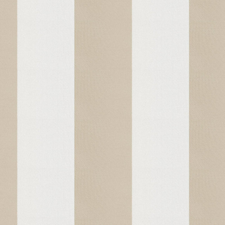 CIRQUE 34J9351 by JF Designer Fabric CIRQUE 59% , 41% Polyester India  Horizontal: 4 and Vertical:  56  - Swanky Fabrics -