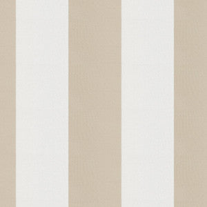 Cirque 34J9351 By JF Designer Fabric