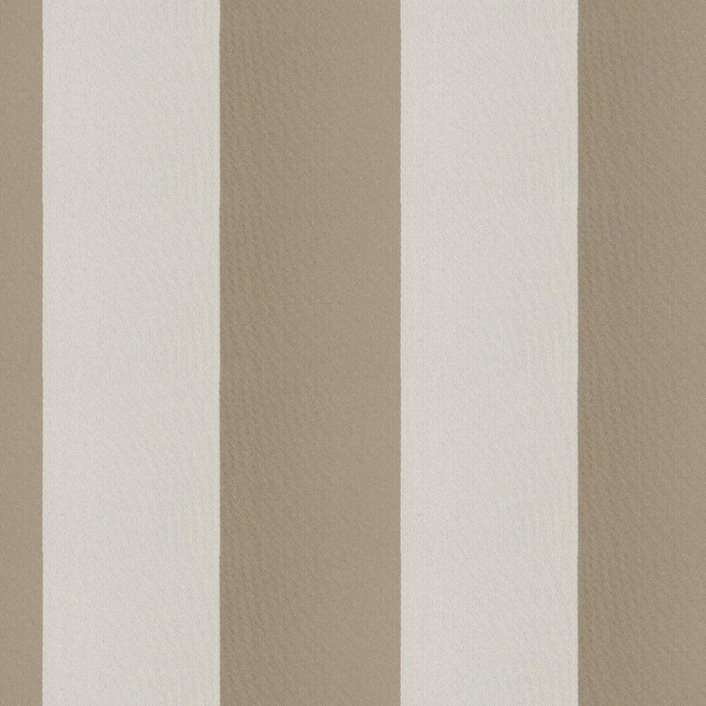 CIRQUE 35J9351 by JF Designer Fabric CIRQUE 59% , 41% Polyester India  Horizontal: 4 and Vertical:  56  - Swanky Fabrics -