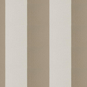 Cirque 35J9351 By JF Designer Fabric