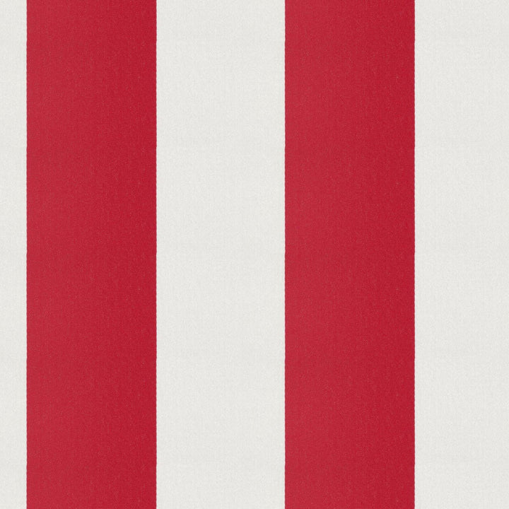 CIRQUE 47J9351 by JF Designer Fabric CIRQUE 59% , 41% Polyester India  Horizontal: 4 and Vertical:  56  - Swanky Fabrics -