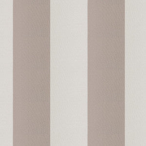 Cirque 52J9351 By JF Designer Fabric