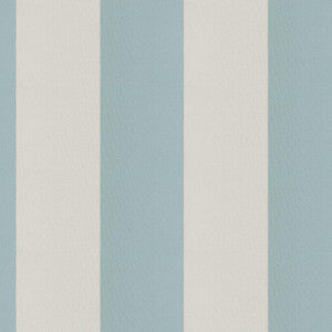 Cirque 64J9351 By JF Designer Fabric