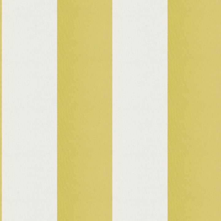 CIRQUE 72J9351 by JF Designer Fabric CIRQUE 59% , 41% Polyester India  Horizontal: 4 and Vertical:  56  - Swanky Fabrics -