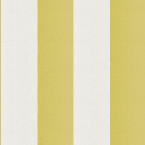 Cirque 72J9351 By JF Designer Fabric