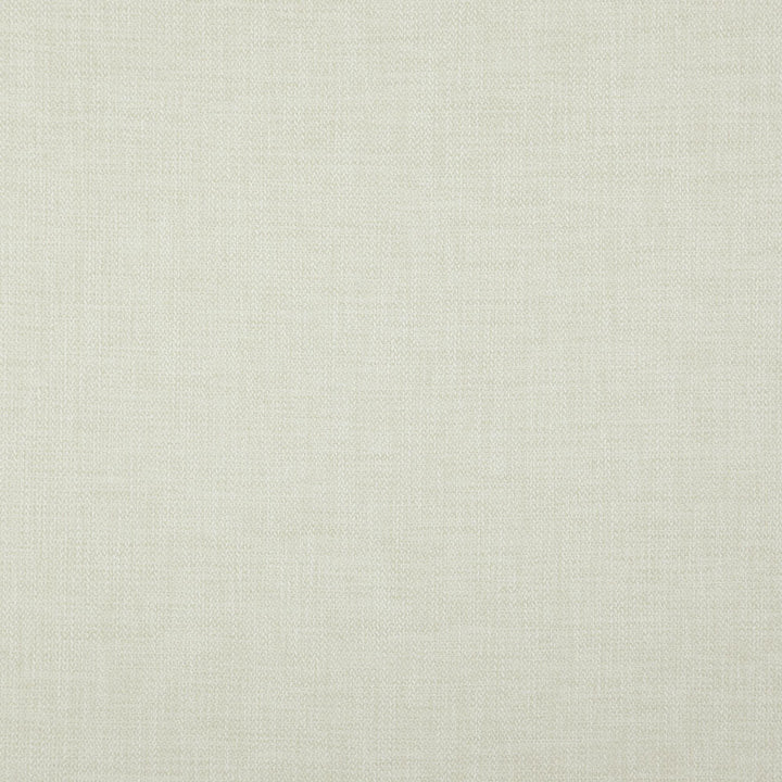 CIVIC 11J7891 by JF Designer Fabric Dynamo 100% Polyester Turkey  Horizontal:  and Vertical:  55  - Swanky Fabrics -