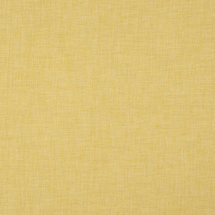 CIVIC 14J7891 by JF Designer Fabric Dynamo 100% Polyester Turkey  Horizontal:  and Vertical:  55  - Swanky Fabrics -