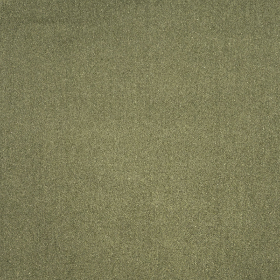 Coronado # 402 Fern by Maxwell Designer Fabric Performance Velvets-Vol.V 52% COTTON 48% POLYESTER TURKEY 55" - Swanky Fabrics -