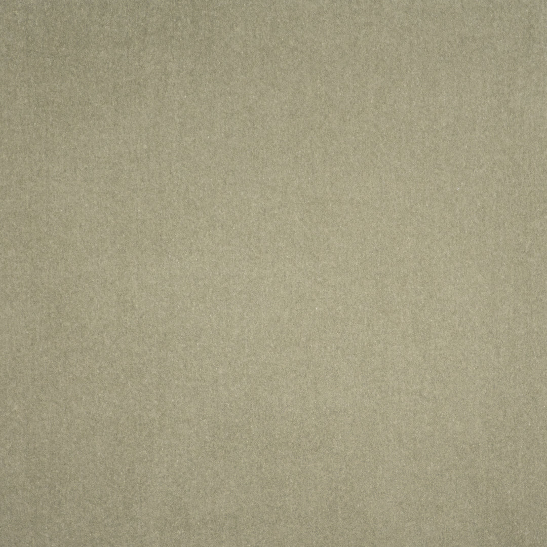 Coronado # 404 Moss by Maxwell Designer Fabric Performance Velvets-Vol.V 52% COTTON 48% POLYESTER TURKEY 55" - Swanky Fabrics -