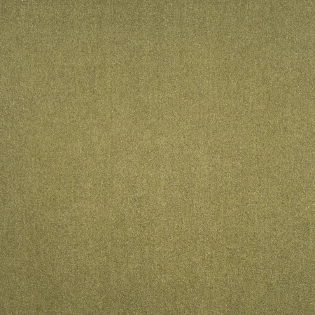 Coronado # 405 Cactus by Maxwell Designer Fabric Performance Velvets-Vol.V 52% COTTON 48% POLYESTER TURKEY 55" - Swanky Fabrics -