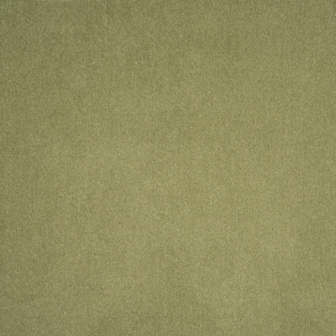 Coronado # 406 Sprout by Maxwell Designer Fabric Performance Velvets-Vol.V 52% COTTON 48% POLYESTER TURKEY 55" - Swanky Fabrics -