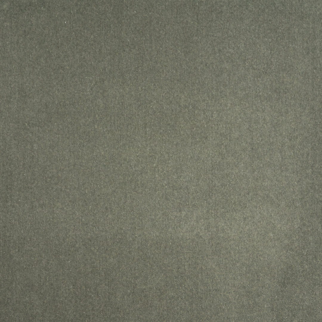 Coronado # 407 Loden by Maxwell Designer Fabric Performance Velvets-Vol.V 52% COTTON 48% POLYESTER TURKEY 55" - Swanky Fabrics -