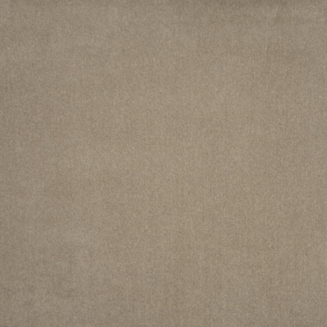 Coronado # 413 Fawn by Maxwell Designer Fabric Performance Velvets-Vol.V 52% COTTON 48% POLYESTER TURKEY 55" - Swanky Fabrics -