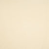 Coronado # 423 Ivory by Maxwell Designer Fabric