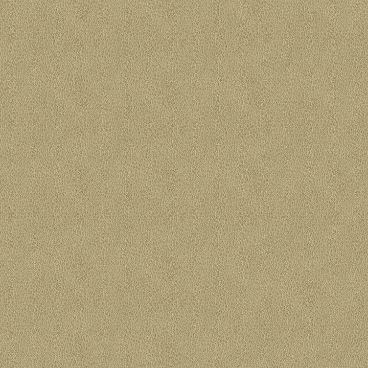Baldwin 6003 Beige by ABBEYSHEA Designer Fabric N/A 85% Polyester, 15% Cotton China 50,000 Double Rubs </p><p>Repeat: Horizontal: 14.3" (36.5 cm) Across the Roll and Vertical: 29.5" (75.0 cm) Up the Roll 56" (142 cm) - Swanky Fabrics -