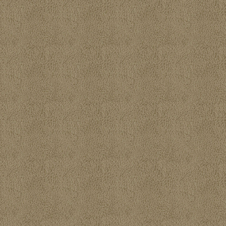 Baldwin 6009 Taupe by ABBEYSHEA Designer Fabric N/A 85% Polyester, 15% Cotton China 50,000 Double Rubs </p><p>Repeat: Horizontal: 14.3" (36.5 cm) Across the Roll and Vertical: 29.5" (75.0 cm) Up the Roll 56" (142 cm) - Swanky Fabrics -