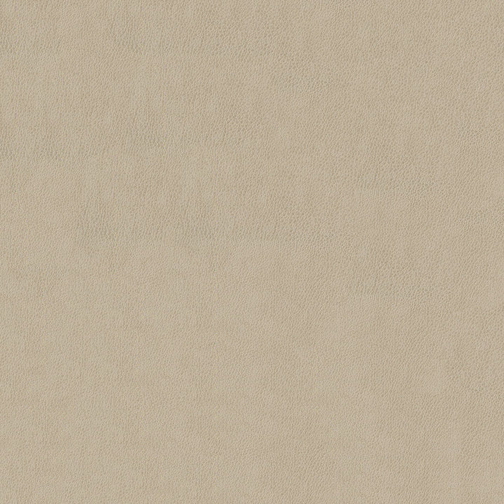 Baldwin 602 Cream by ABBEYSHEA Designer Fabric N/A 85% Polyester, 15% Cotton China 50,000 Double Rubs </p><p>Repeat: Horizontal: 14.3" (36.5 cm) Across the Roll and Vertical: 29.5" (75.0 cm) Up the Roll 56" (142 cm) - Swanky Fabrics -