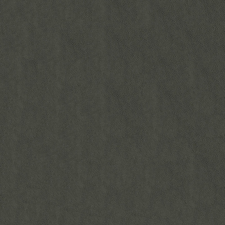 Baldwin 9006 Gunmetal by ABBEYSHEA Designer Fabric N/A 21% Polyester, 10% Linen, 69% Rayon China 130,000 Double Rubs </p><p>Repeat: Horizontal: 13.78" (35 cm) Across the Roll and Vertical: 8.27" (21 cm) Up the Roll 56" (142 cm) - Swanky Fabrics -