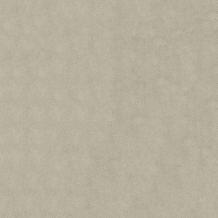 Baldwin 902 Alabaster by ABBEYSHEA Designer Fabric N/A 100% Polyurethane (PU) China 200,000 Double Rubs </p><p>Repeat: Horizontal: and Vertical: 54" (137 cm) - Swanky Fabrics -