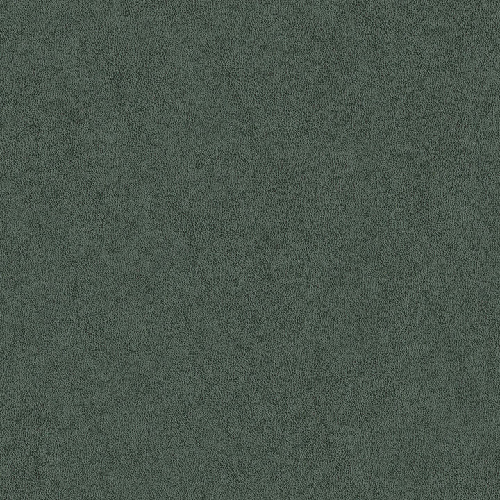 Baldwin 905 Smoke by ABBEYSHEA Designer Fabric N/A 100% Polyurethane (PU) China 200,000 Double Rubs </p><p>Repeat: Horizontal: and Vertical: 54" (137 cm) - Swanky Fabrics -