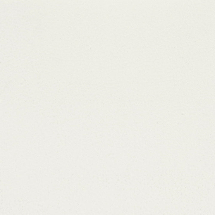 Classic 3 Natural by Stout Designer Fabric ALL THINGS VERSATILE 80%OTH 20%UV SOUTH KOREA FLAME RETARDANT-U.F.A.C. CLASS 1 CATB 117-2013 WYZENBEEK 30 000 DOUBLE RUB WEAR TEST (HEAVY DUTY) Horizontal: 0.000 and Vertical: 0.000 54 in - Swanky Fabrics -